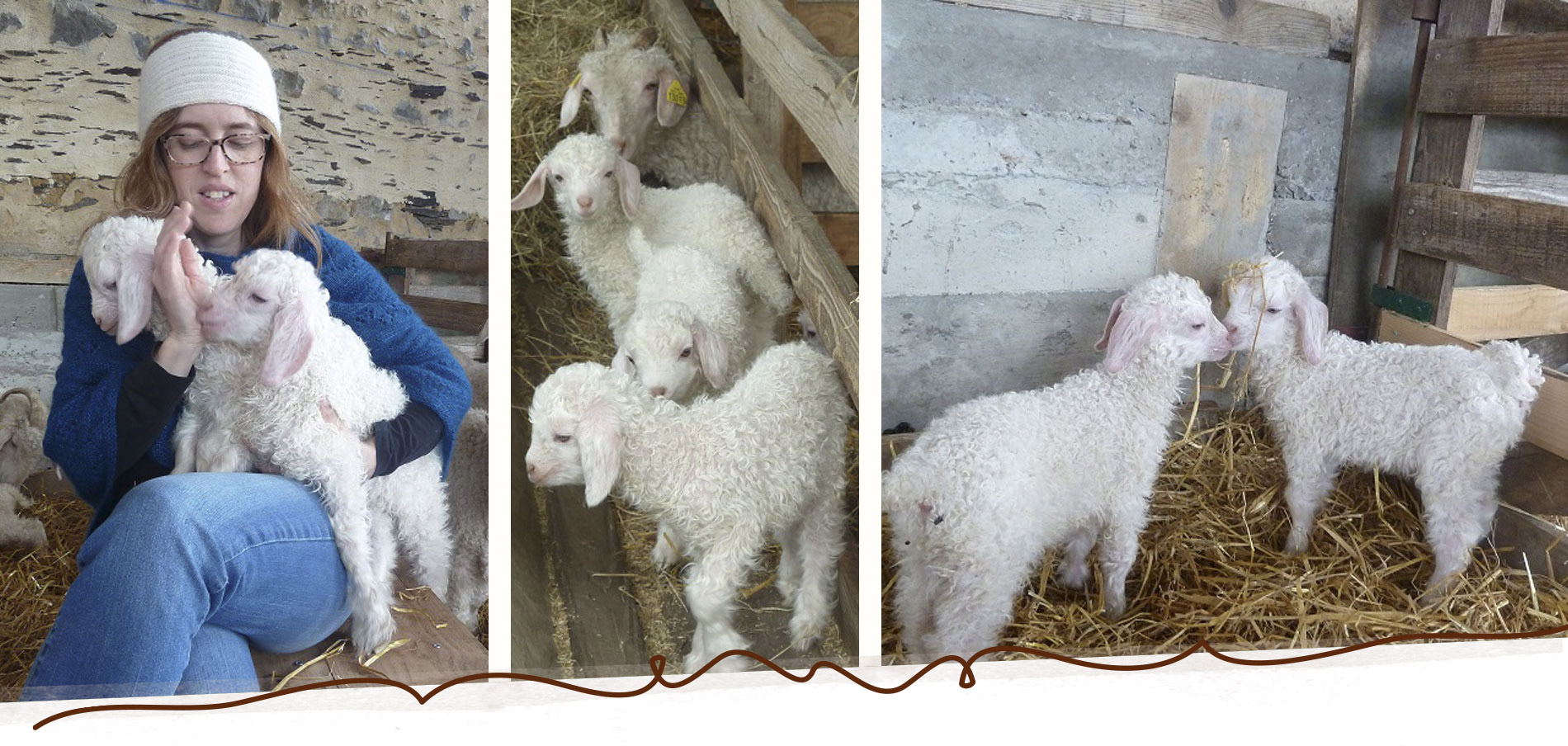 Slide_Mohair_10