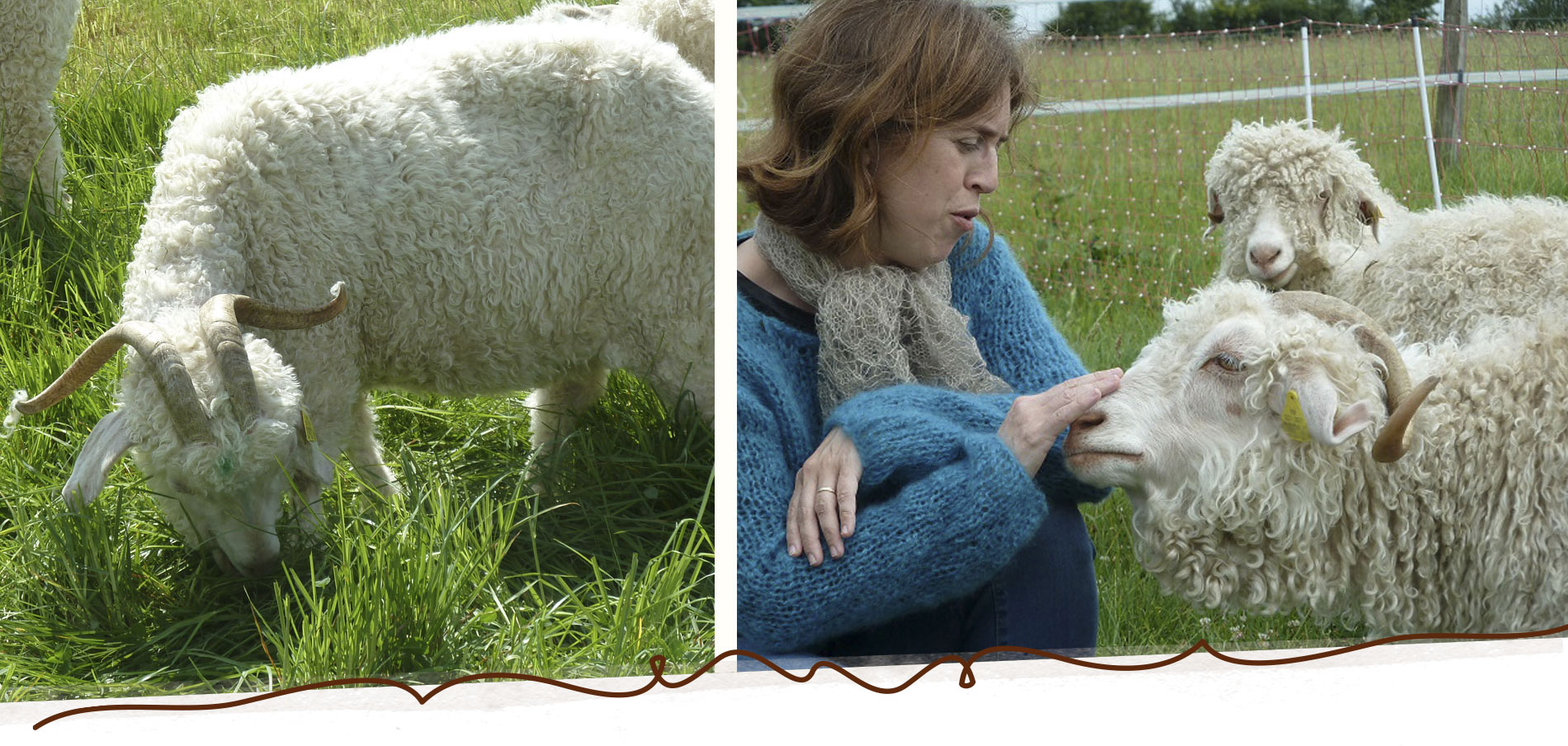 Slide_Mohair_2