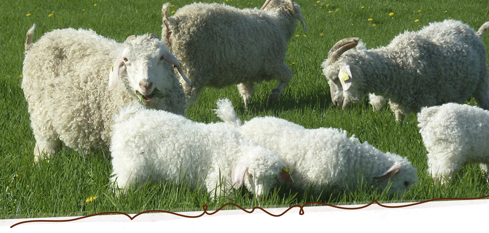 Slide_Mohair_3