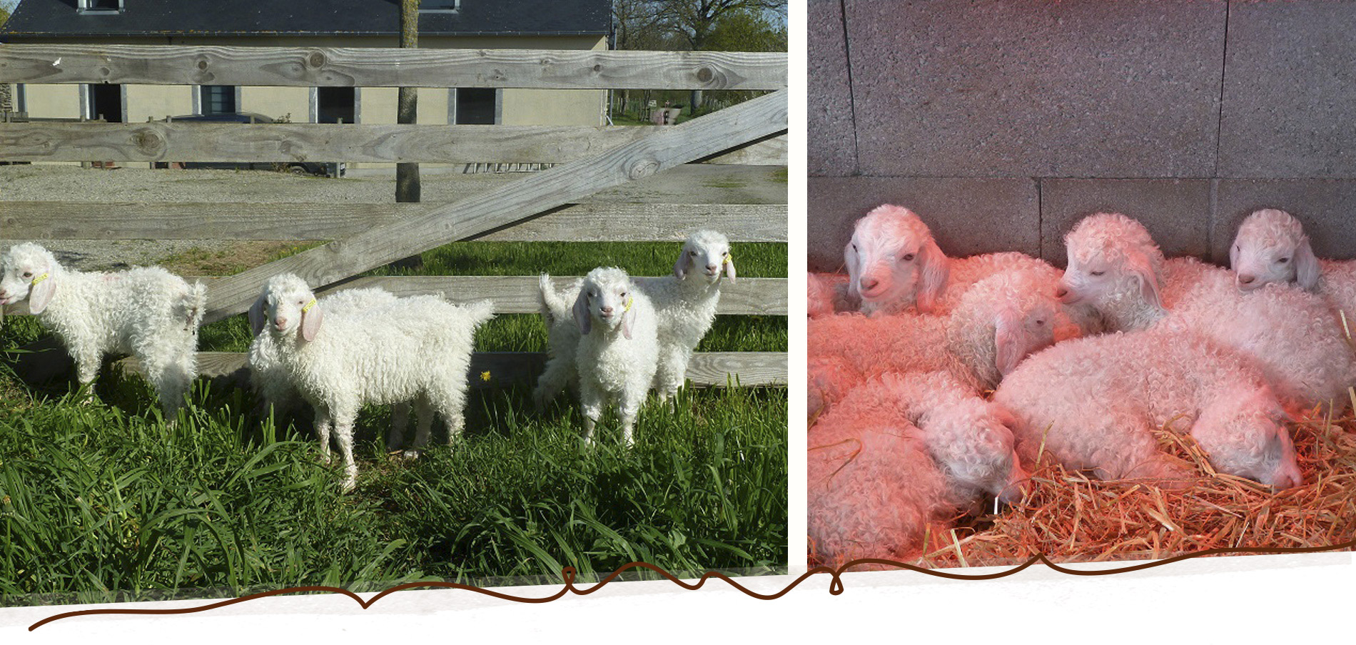 Slide_Mohair_4