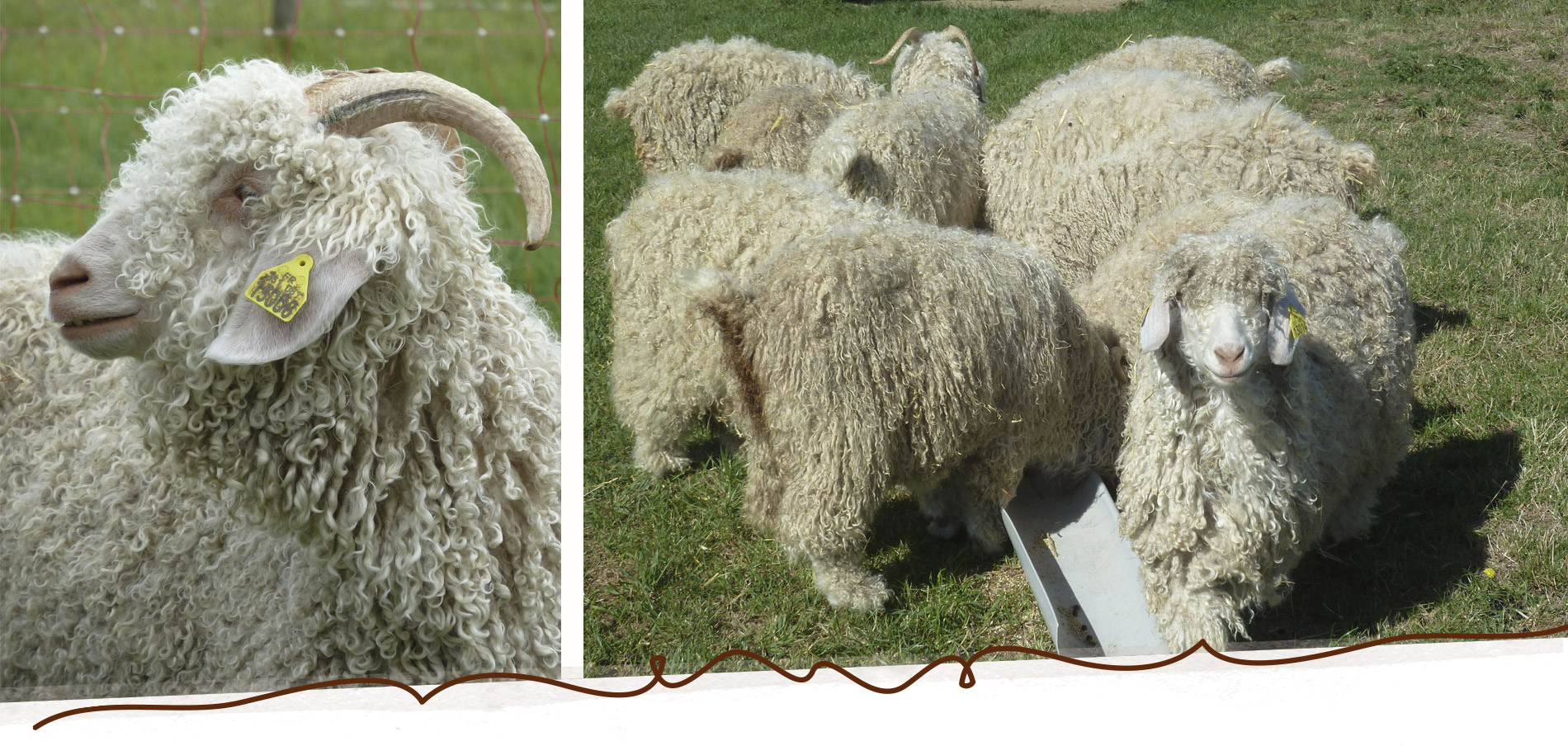 Slide_Mohair_5