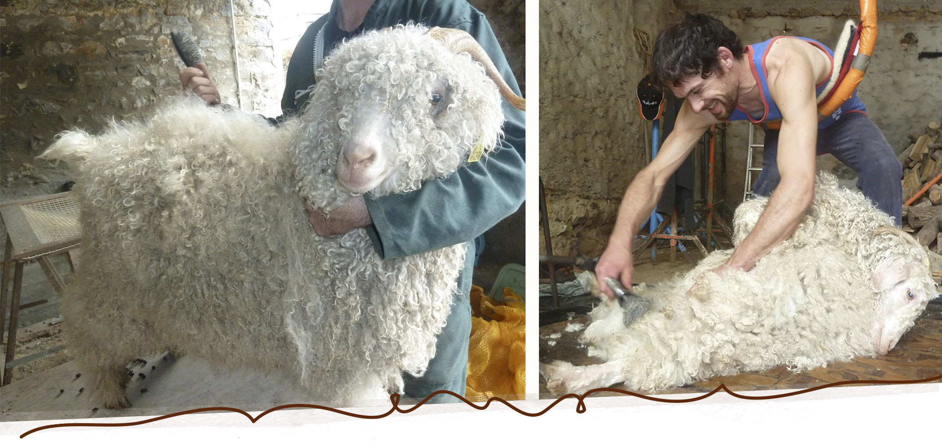 Slide_Mohair_6