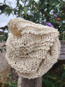 Kit tricot tour de cou des "Petites laines de Brisanne"