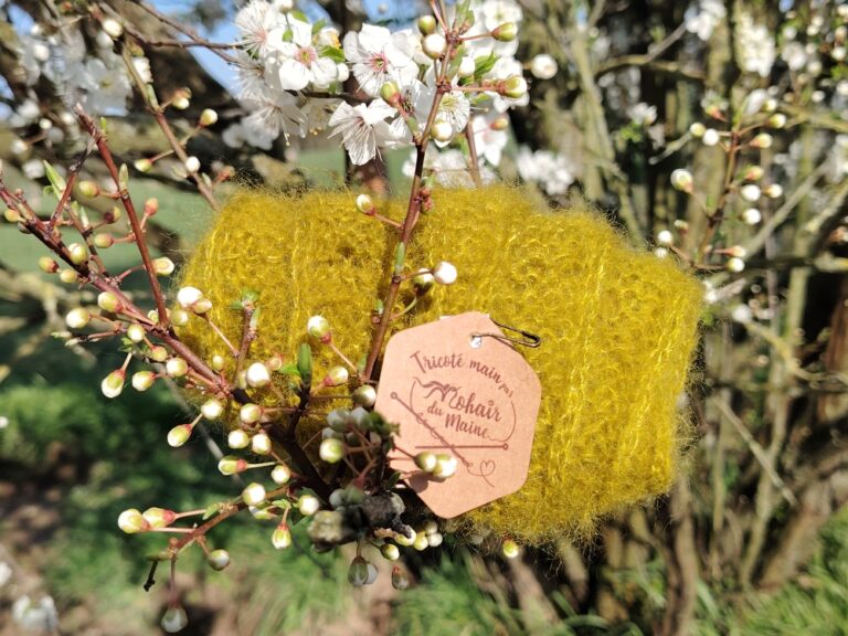 Lire la suite à propos de l’article A la demande générale…!