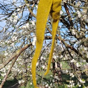 Kit tricot Petite écharpe Brisanne Zen